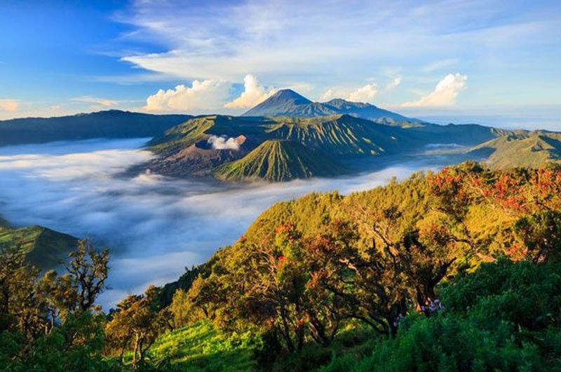 Gunung Bromo, destinasi wisata alam terkenal di Malang